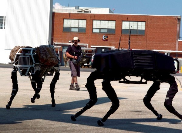 Google решила избавиться от производителя роботов Boston Dynamics - «Новости сети»