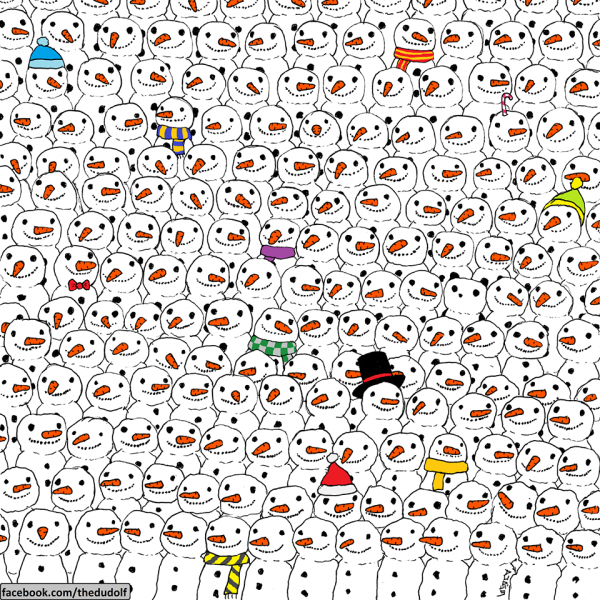 Картинка дня: интернет ломает голову в поисках панды и кота - «Интернет и связь»
