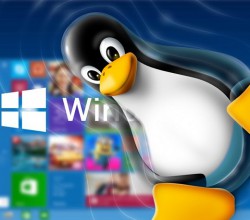 Разработчики нашли способ запуска Linux-приложений с GUI через Bash в Windows 10 - «Windows»