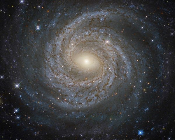 Фото дня: неповторимая спиральная галактика в созвездии Орла - «Новости сети»