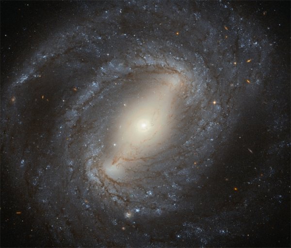 Фото дня: спиральная галактика с перемычкой в созвездии Волосы Вероники - «Новости сети»