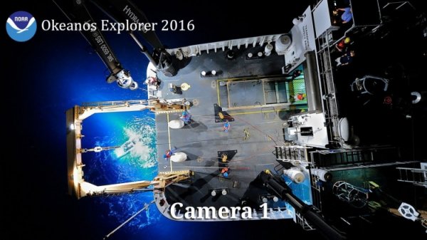 Okeanos Explorer запустила прямую трансляцию погружения в Марианский жёлоб - «Новости сети»