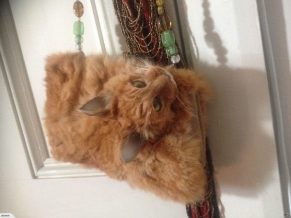 Интернет-пользователей возмутила сумочка из мертвой кошки - «Интернет и связь»