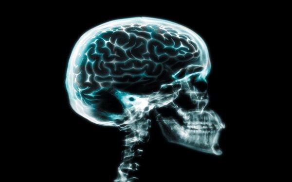 Наука о любви: что мы знаем о загадочном чувстве, его причинах и последствиях - «Интернет и связь»
