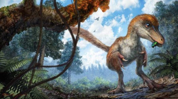 Ученые обнаружили останки динозавра возрастом 99 миллионов лет - «Интернет и связь»