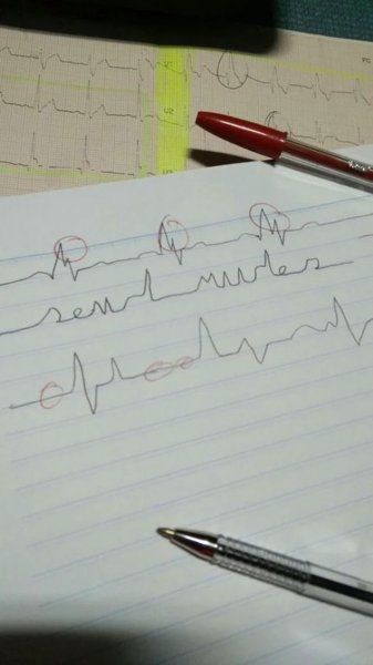 Send Nudes: пользователи придумывают оригинальные способы попросить у подруг фото в стиле "ню" - «Интернет и связь» Send Nudes: пользователи придумывают оригинальные способы попросить у подруг фото в стиле "ню" - «Интернет и связь»