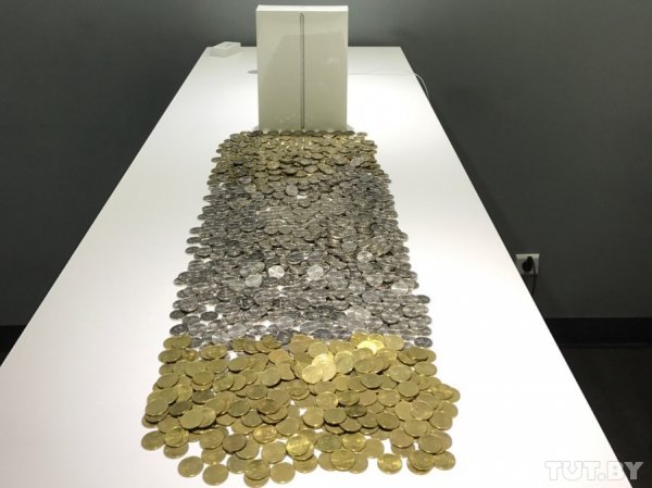 Фотофакт: минчанин оплатил дорогой iPad тремя пакетами монет - «Интернет и связь»