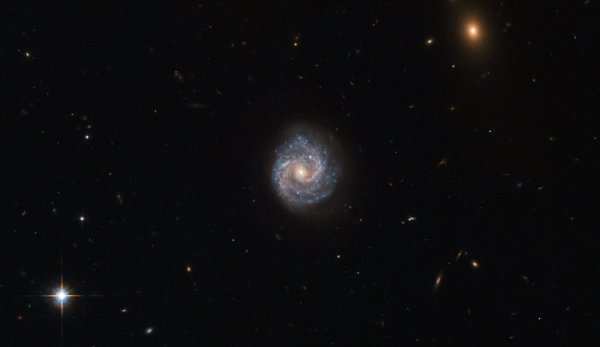 Фото дня: сейфертовская галактика глазами космического телескопа «Хаббл» - «Новости сети»