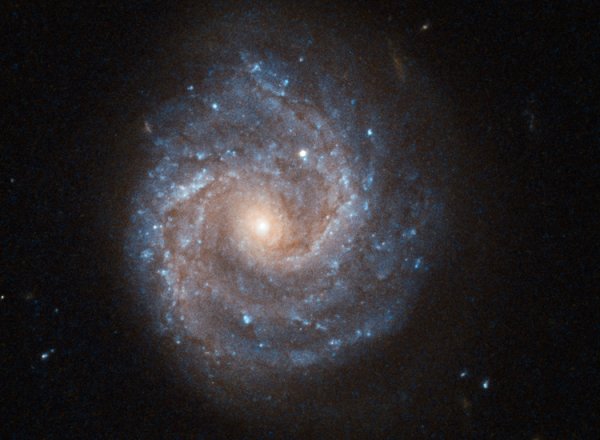 Фото дня: сейфертовская галактика глазами космического телескопа «Хаббл» - «Новости сети»