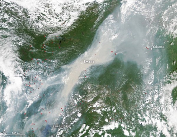 Фотофакт. Масштабные пожары в Сибири видны из космоса | 42.TUT.BY - «Интернет и связь»
