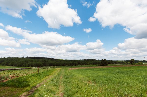 "Интернет вернул нам детей и внуков". Чем живут самые болтливые деревни Беларуси | - «Интернет и связь»