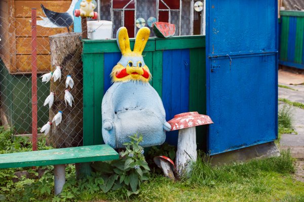 "Интернет вернул нам детей и внуков". Чем живут самые болтливые деревни Беларуси | - «Интернет и связь»