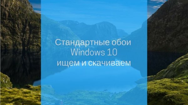 Обои для Windows 10 стандартные: где хранятся и как скачать - «Windows»