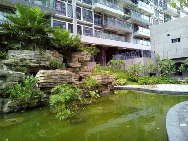 Оформляем предзаказ на смартфоны UMIDIGI Z1 и Z1 Pro со скидкой - «Новости сети»