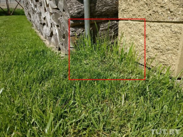 Робот, который сам стрижет газоны: обзор Husqvarna Automower 430X | - «Интернет и связь»