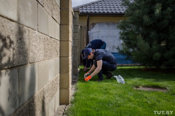 Робот, который сам стрижет газоны: обзор Husqvarna Automower 430X | - «Интернет и связь»