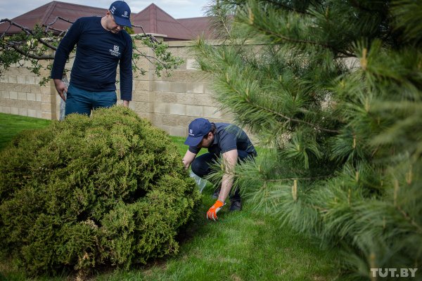 Робот, который сам стрижет газоны: обзор Husqvarna Automower 430X | - «Интернет и связь»