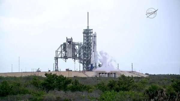 SpaceX впервые в истории повторно запустила космический грузовик Dragon  - «Интернет и связь»