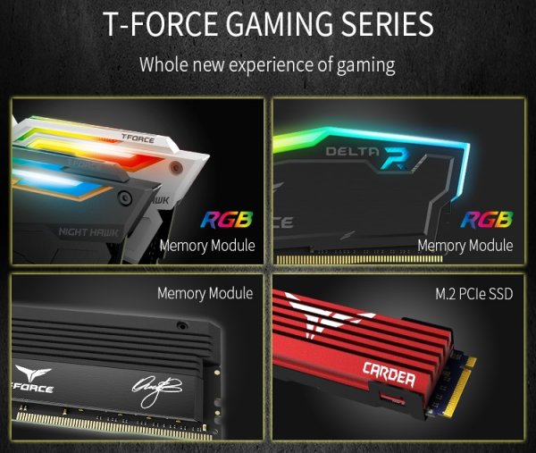 Team Night Hawk RGB DDR4: «крылатая» память с подсветкой - «Новости сети»