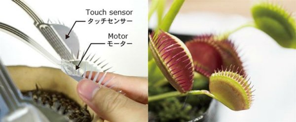 Японцы представили мягкий мотор для роботов-оригами - «Новости сети» Японцы представили мягкий мотор для роботов-оригами - «Новости сети»