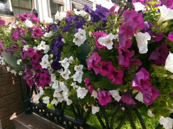 Обзор Nokia 3: финский удар по Meizu и Xiaomi | - «Интернет и связь»