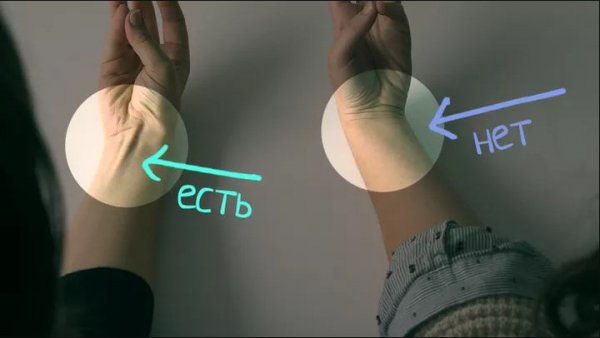 От головы до пальцев: как человек эволюционирует в будущем | - «Интернет и связь»