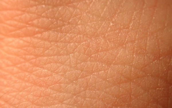 От головы до пальцев: как человек эволюционирует в будущем | - «Интернет и связь»