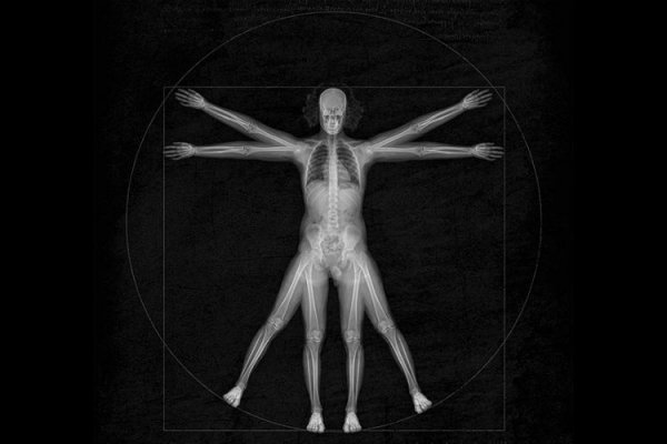 От головы до пальцев: как человек эволюционирует в будущем | - «Интернет и связь»