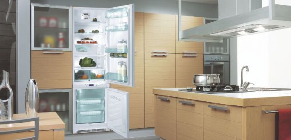 Покупаем с умом: помогаем с выбором холодильника | 42.TUT.BY - «Интернет и связь»