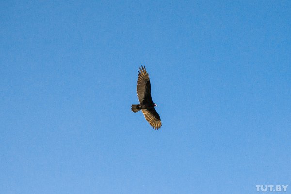 Самая красивая граница в мире: что происходит на Ниагарском водопаде, разделившем США и Канаду | - «Интернет и связь»