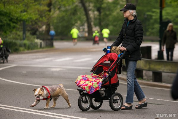 "У нас все бегают". Чем живет Центральный парк Нью-Йорка стоимостью более 500 миллиардов долларов | - «Интернет и связь» "У нас все бегают". Чем живет Центральный парк Нью-Йорка стоимостью более 500 миллиардов долларов | - «Интернет и связь»