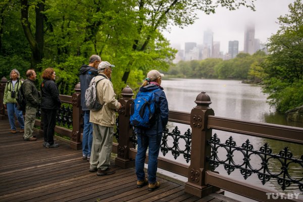 "У нас все бегают". Чем живет Центральный парк Нью-Йорка стоимостью более 500 миллиардов долларов | - «Интернет и связь» "У нас все бегают". Чем живет Центральный парк Нью-Йорка стоимостью более 500 миллиардов долларов | - «Интернет и связь»