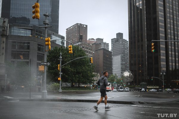 "У нас все бегают". Чем живет Центральный парк Нью-Йорка стоимостью более 500 миллиардов долларов | - «Интернет и связь» "У нас все бегают". Чем живет Центральный парк Нью-Йорка стоимостью более 500 миллиардов долларов | - «Интернет и связь»