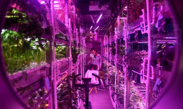 В Китае начат длительный эксперимент по имитации жизни на Луне - «Новости сети»