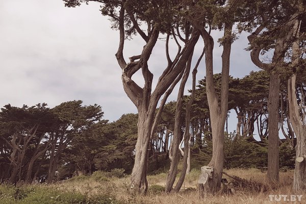 Большой тест камеры Samsung Galaxy S8 во время путешествия по США | - «Интернет и связь»