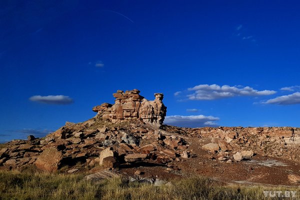 Большой тест камеры Samsung Galaxy S8 во время путешествия по США | - «Интернет и связь»