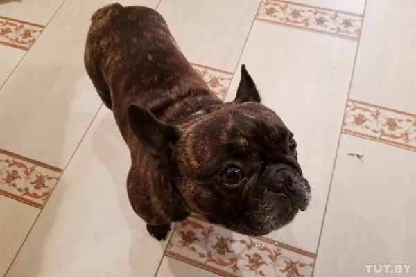 Интернет не работает: как самому найти проблему с домашним подключением - «Интернет и связь» Интернет не работает: как самому найти проблему с домашним подключением - «Интернет и связь»