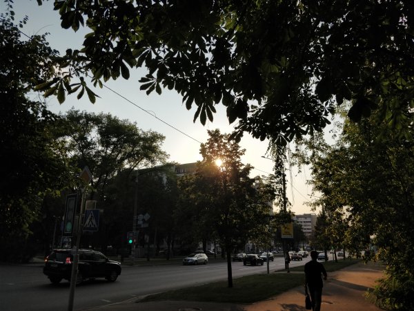 iPhone 7 Plus против своего топового "Android-клона": фотобитва флагманов | - «Интернет и связь»