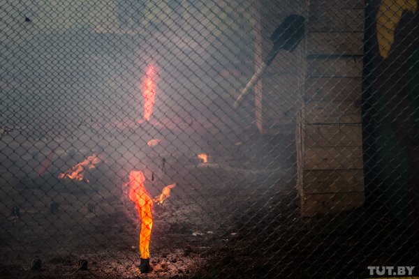 Как соревнуются спецназовцы: в Минске прошел этап конкурса элитных подразделений | - «Интернет и связь» Как соревнуются спецназовцы: в Минске прошел этап конкурса элитных подразделений | - «Интернет и связь»