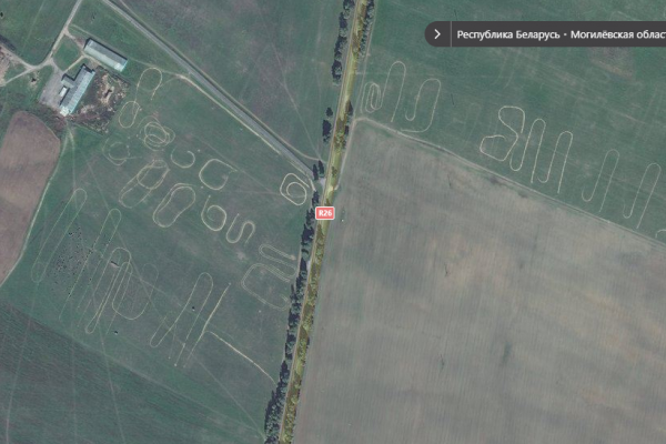 Картинка дня: непонятные фигуры на поле в Могилевской области | 42.TUT.BY - «Интернет и связь»
