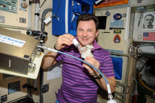 На МКС учатся находить микробы с помощью «электронного носа» - «Новости сети»