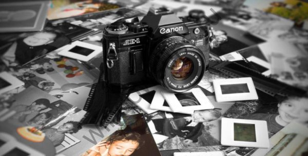 Программа для просмотра фотографий Windows 10:какую скачать - «Windows»