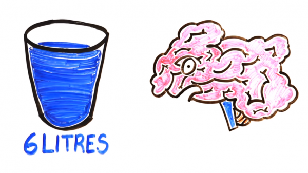 Сахар, кофе, вода: смертельные дозы обычных продуктов | - «Интернет и связь»