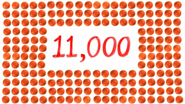 Сахар, кофе, вода: смертельные дозы обычных продуктов | - «Интернет и связь»