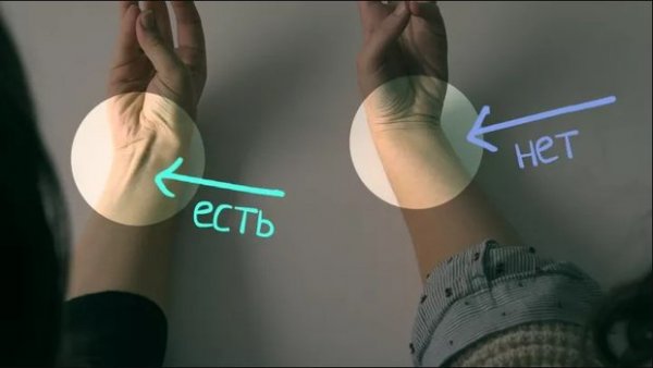 Сахар, кофе, вода: смертельные дозы обычных продуктов | - «Интернет и связь»