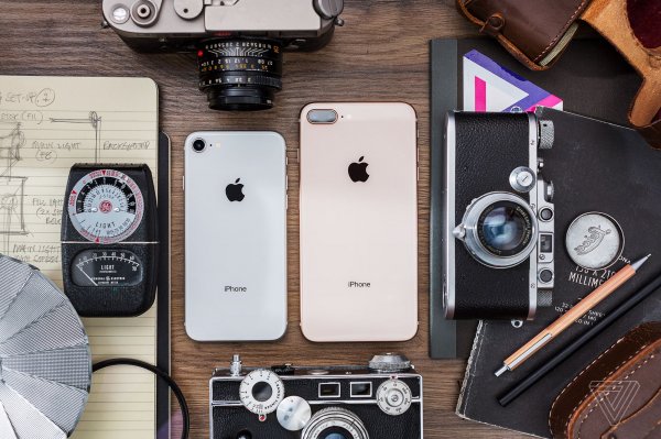 Больше не JPEG: на устройствах Apple новый формат фотографий - «Интернет и связь»