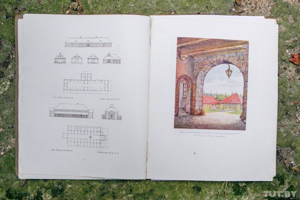 Что скрывает лес под Людвиково. Открываем тайны разделенной Беларуси | - «Интернет и связь»