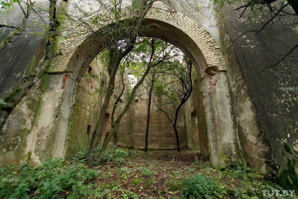 Что скрывает лес под Людвиково. Открываем тайны разделенной Беларуси | - «Интернет и связь»