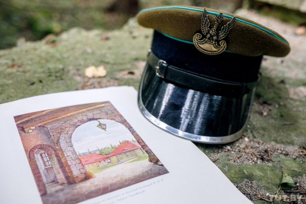 Что скрывает лес под Людвиково. Открываем тайны разделенной Беларуси | - «Интернет и связь»