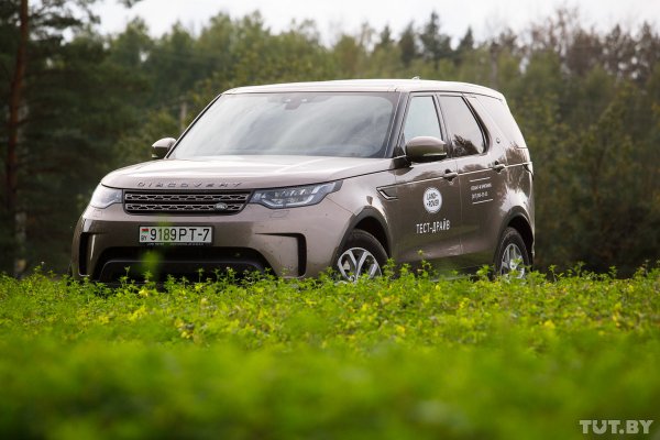 Что скрывает лес под Людвиково. Открываем тайны разделенной Беларуси | - «Интернет и связь»